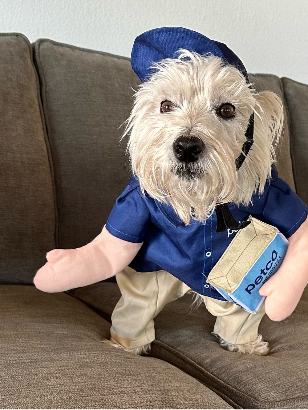 Navy Blue Delivery Costume for Dogs - Novelty Pet Outfit